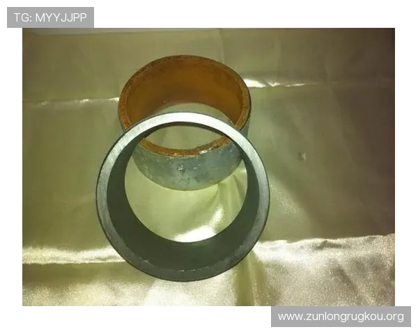 尊龙人生就是搏z6：如何在游戏中实现自我价值与成长