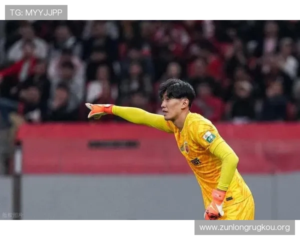 尊龙官方app下载安装最新版本，提供完整操作流程和注意事项