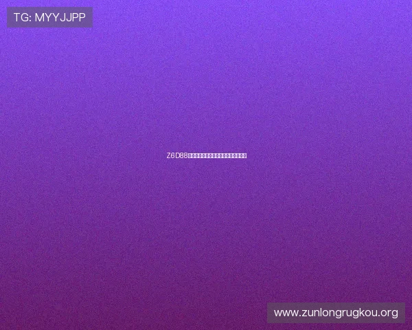 Z6D88用现的多功能应用场景及操作指南详解